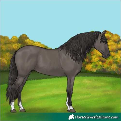 Horse Color:Smoky Grullo Sabino Rabicano