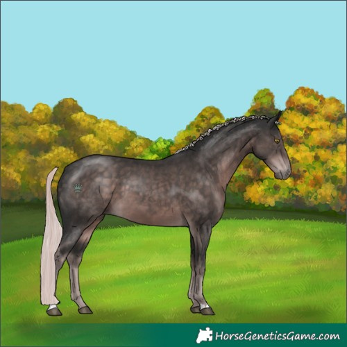 Horse Color:Platinum Liver Chestnut 