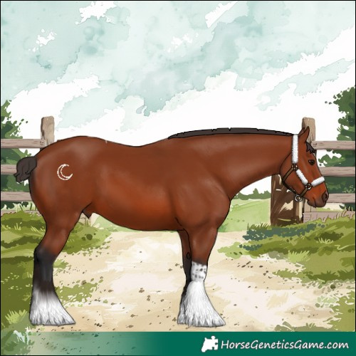 Horse Color:Bay Tobiano Rabicano