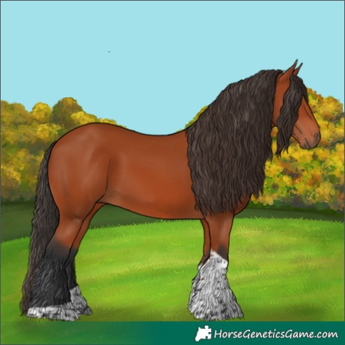 Horse Color:Bay Tobiano Rabicano