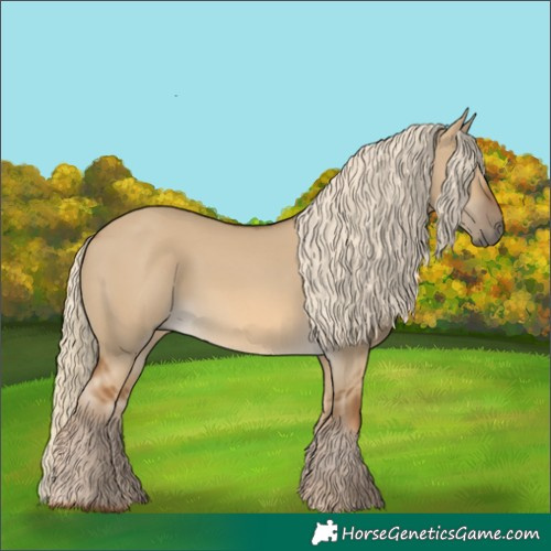 Horse Color:Chocolate Palomino Dun 