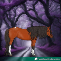 Horse Color:Bay Tobiano Rabicano 