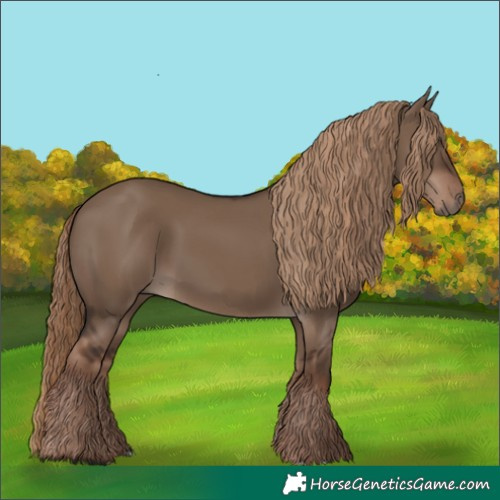 Horse Color:Liver Red Dun Rabicano 