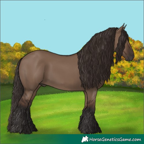 Horse Color:Liver Red Dun Rabicano