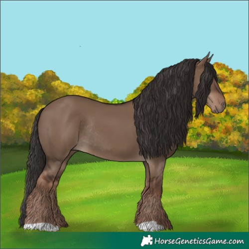 Horse Color:Liver Red Dun Rabicano 