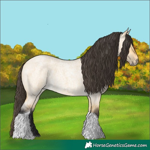 Horse Color:Buckskin Roan Dun Tobiano 