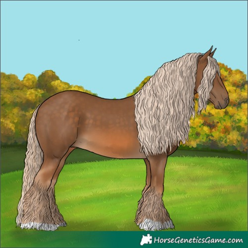 Horse Color:Chocolate Palomino 