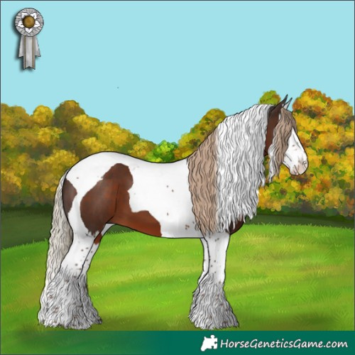 Horse Color:Liver Chestnut Splash Tobiano 