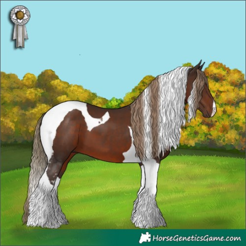 Horse Color:Liver Chestnut Tobiano 