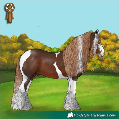 Horse Color:Liver Chestnut Sabino Tobiano