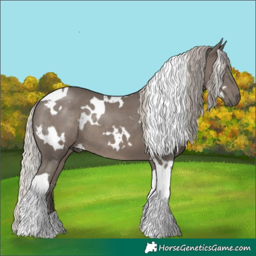 Horse Color:White Spotted Silver Black Tobiano 