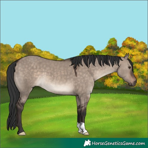 Horse Color:Brown Dun Mushroom