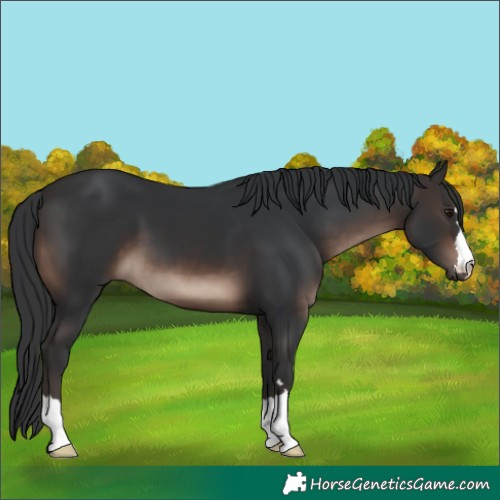 Horse Color:Brown Mushroom 