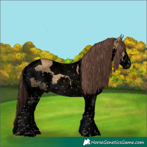 Horse Color:Void Chocolate Sable Cream Champagne Splash Tobiano