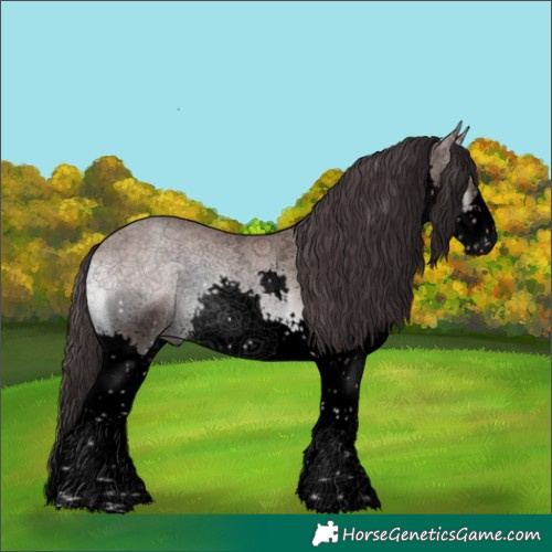 Horse Color:Void Platinum Sable Champagne Onyx Sabino Splash 