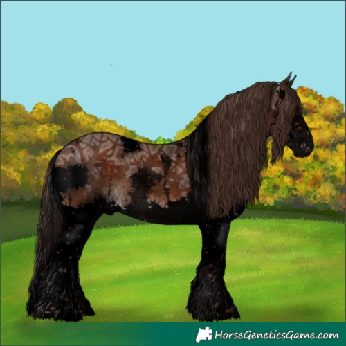 Horse Color:Void Liver Chestnut Ice Sabino Splash 