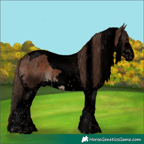 Horse Color:Void Liver Chestnut Sabino Splash Tobiano 