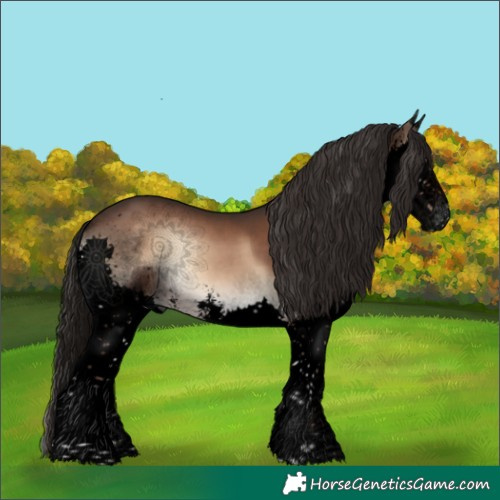Horse Color:Void Liver Red Onyx Sabino Splash 