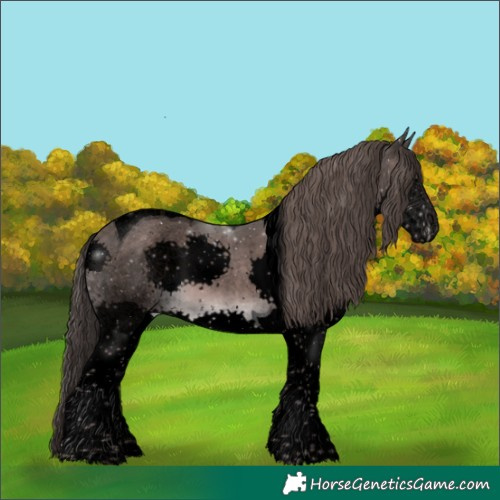 Horse Color:Void Platinum Liver Chestnut Splash Tobiano 
