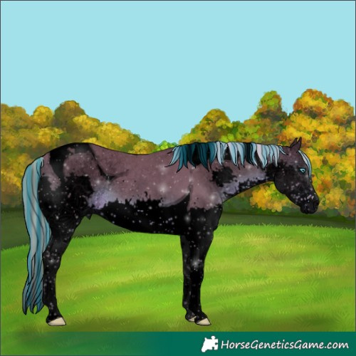 Horse Color:Void Platinum Painted Chocolate Silver Brown Splash Tobiano 