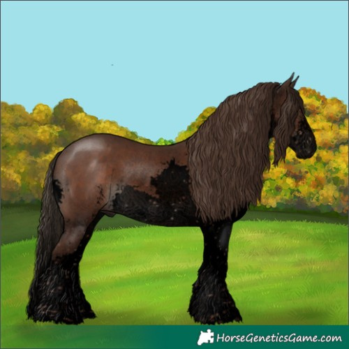 Horse Color:Void Liver Chestnut Sabino Splash Rabicano 