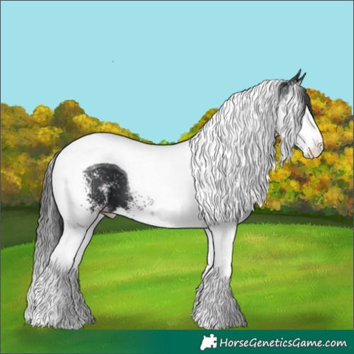 Horse Color:White Spotted Black Splash Tobiano