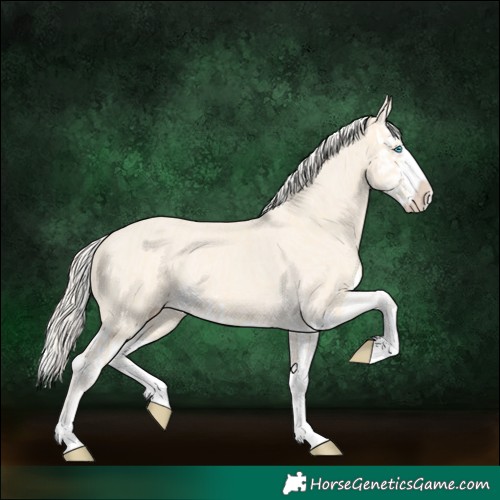 Horse Color:Cremello Splash  and Cremello Dun Splash 