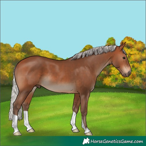 Horse Color:Silver Bay