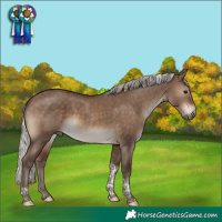 Horse Color:Silver Bay Dun Tobiano Rabicano