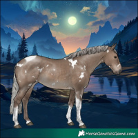 Horse Color:White Spotted Silver Grullo Tobiano