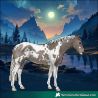 Horse Color:White Spotted Silver Black Tobiano Rabicano 