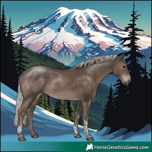 Horse Color:Silver Black Tobiano Rabicano 