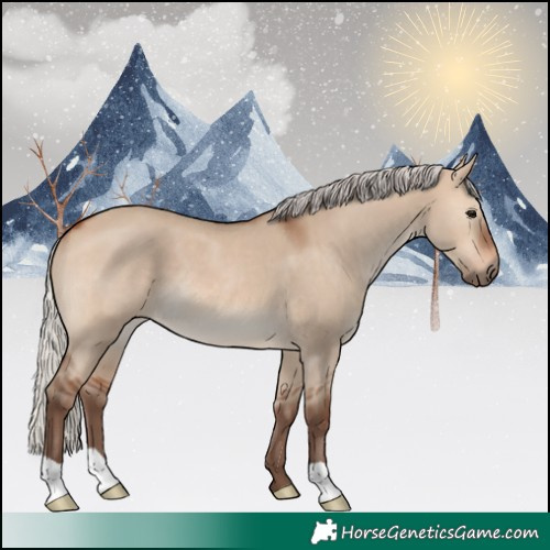 Horse Color:Silver Brown Dun 