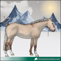 Horse Color:Silver Brown Dun