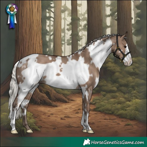 Horse Color:White Spotted Silver Grullo Frame 
