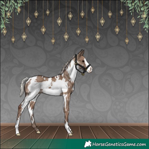 Horse Color:White Spotted Silver Grullo Frame 