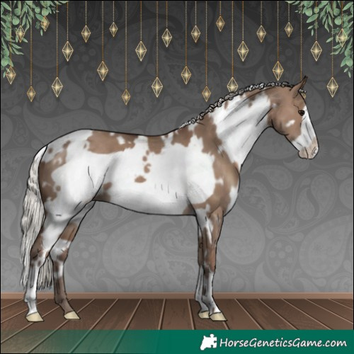 Horse Color:White Spotted Silver Grullo Frame