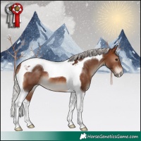 Horse Color:Silver Brown Tobiano