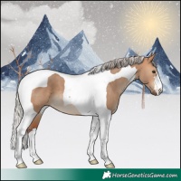 Horse Color:Silver Bay Dun Tobiano