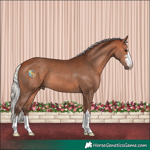 Horse Color:Silver Bay 