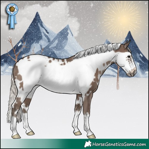 Horse Color:White Spotted Silver Black Frame 
