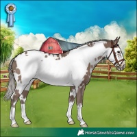 Horse Color:White Spotted Silver Black Frame