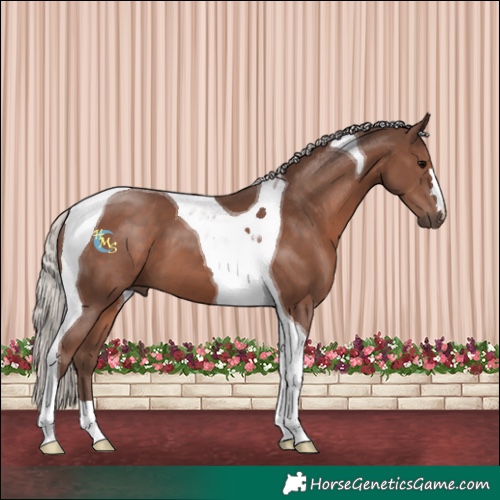 Horse Color:Silver Black Tobiano