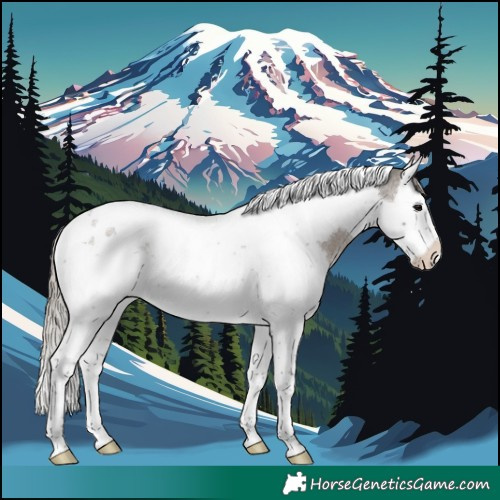 Horse Color:Silver Blue Roan Splash Tobiano 