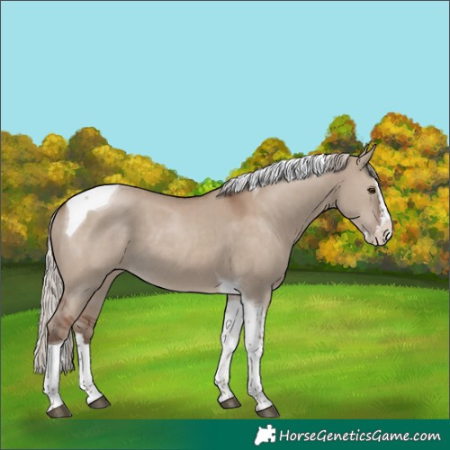 Horse Color:Silver Grullo Splash Tobiano 