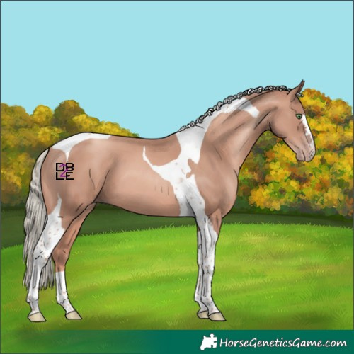 Horse Color:Gold Champagne Mushroom Tobiano