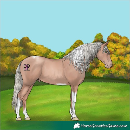Horse Color:Gold Champagne Mushroom Tobiano 