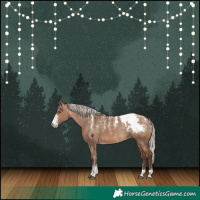Horse Color:Powder White Silver Brown Dun Appaloosa Rabicano 