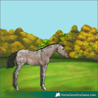 Horse Color:Brown Ice Dun