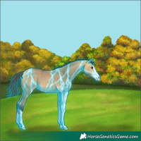 Horse Color:Thunderstruck Buckskin Dun Sabino